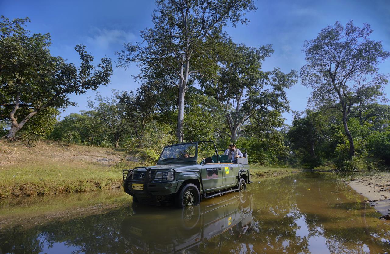 Отель Pench Jungle Camp Khawasa Экстерьер фото